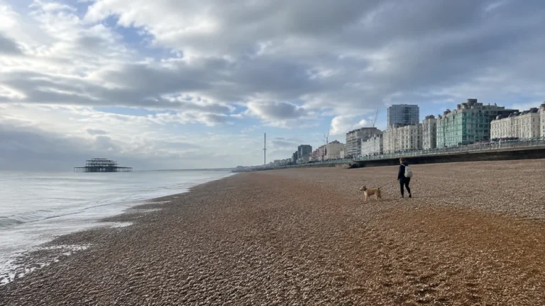 Dog walker crosses a pebble beach beneath a row of seafront buildings.