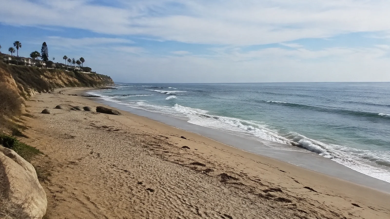Quiet sandy cove below coastal bluffs and palm trees.