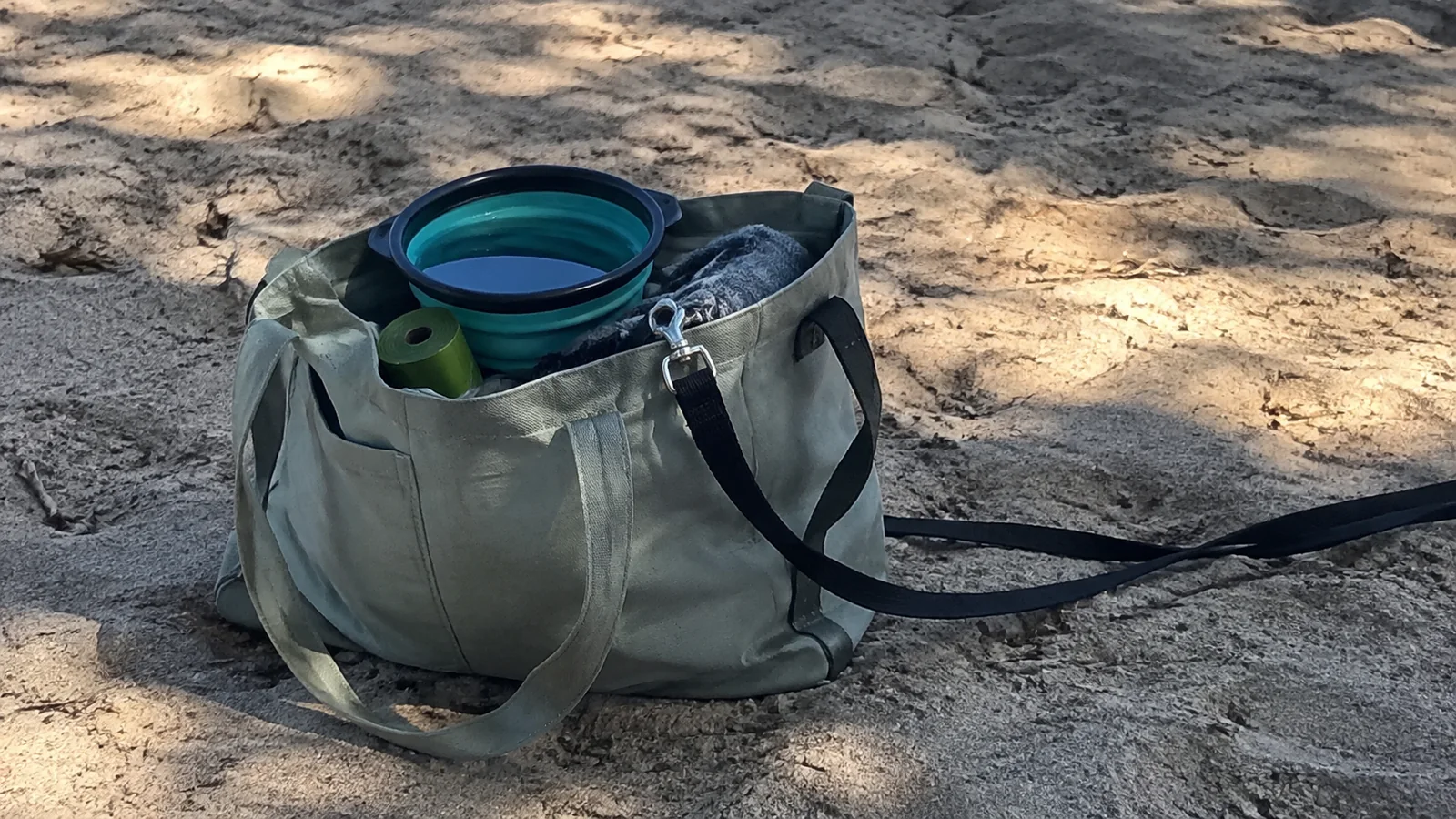 Collapsible bowl and dog-walking supplies packed in a tote on sand.