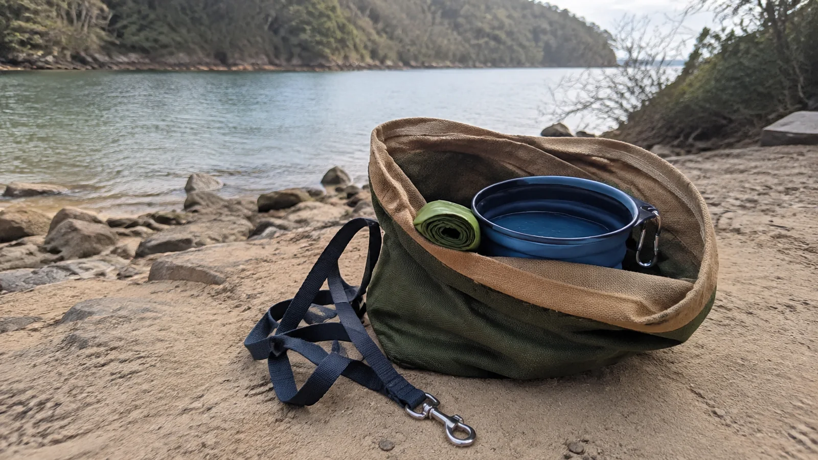 Collapsible bowl and waste bags packed in a tote beside a sheltered beach.