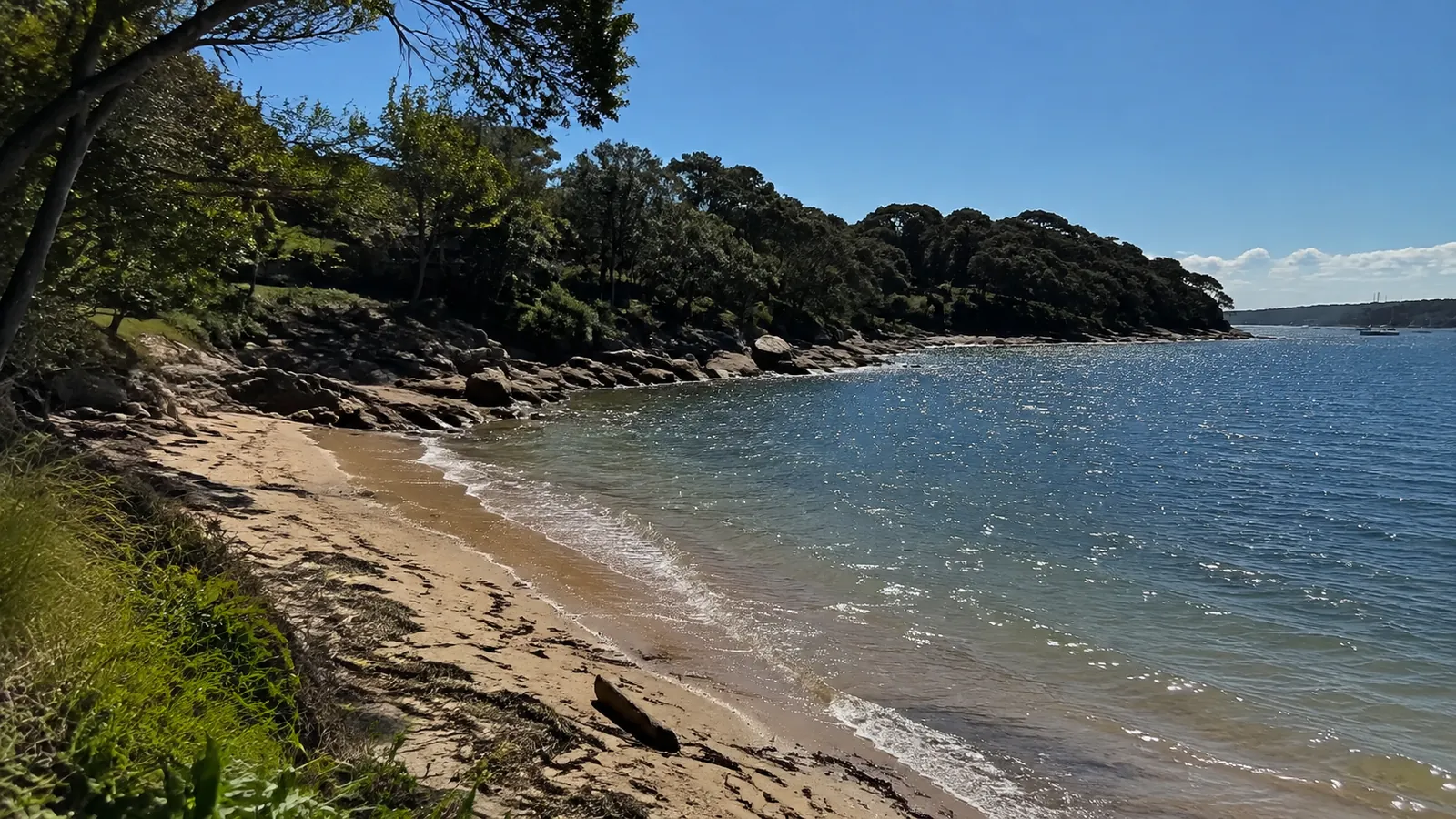 Small sandy beach curves around a rocky wooded bay.