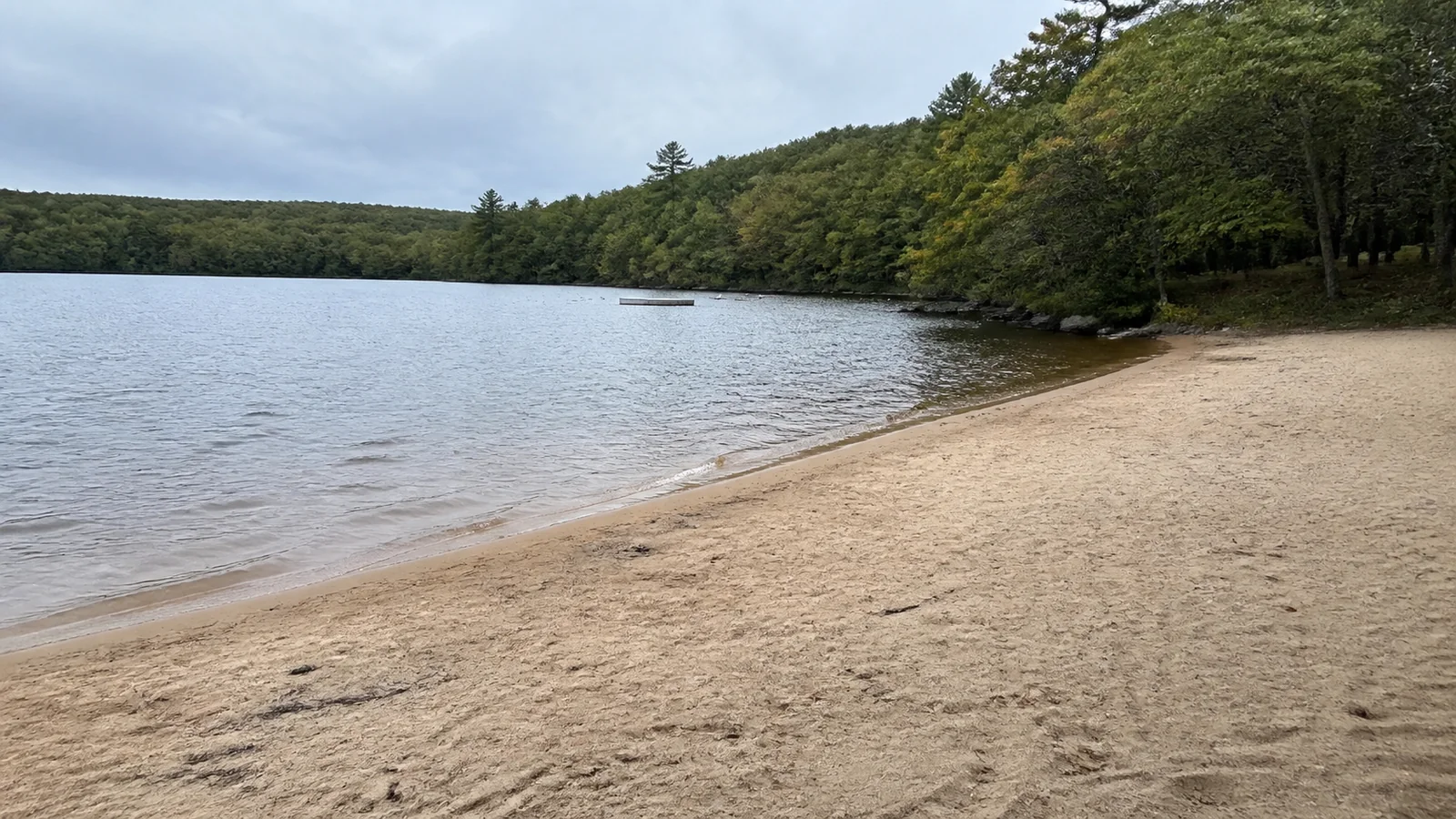 Sandy lake beach with a picnic table beneath surrounding trees.