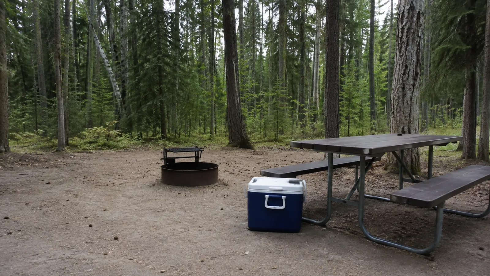 Cooler and picnic table beside a metal fire ring in a forest campsite.