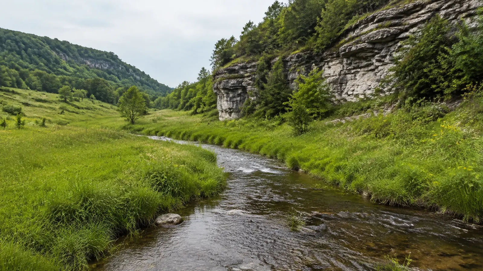 Clear stream winding through a grassy valley beside layered rock cliffs.