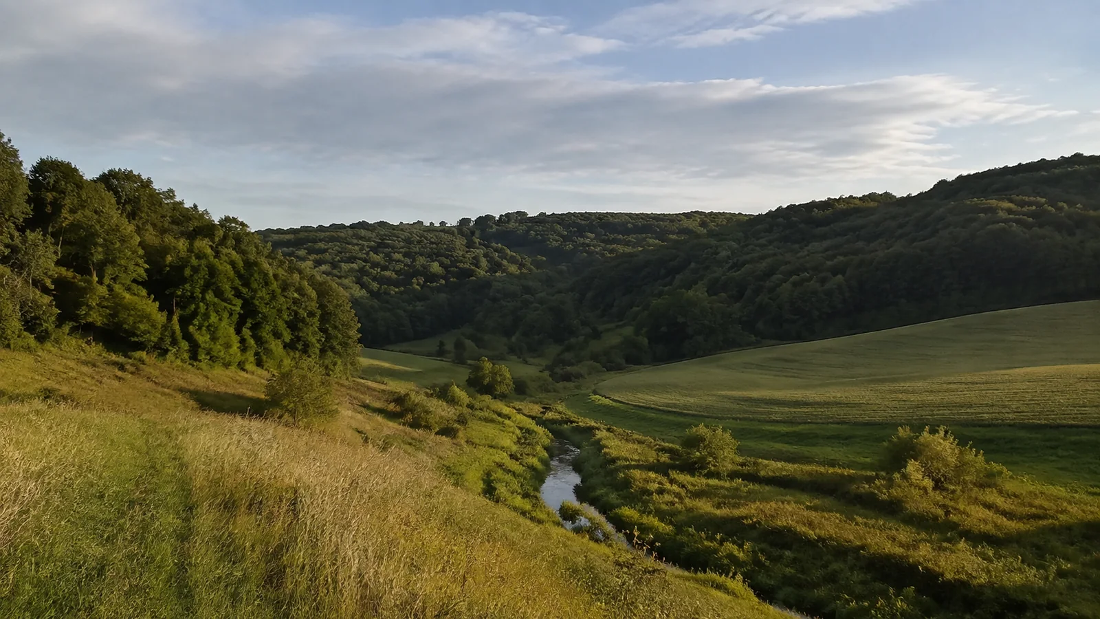 Narrow stream winding through green fields beneath wooded hills.