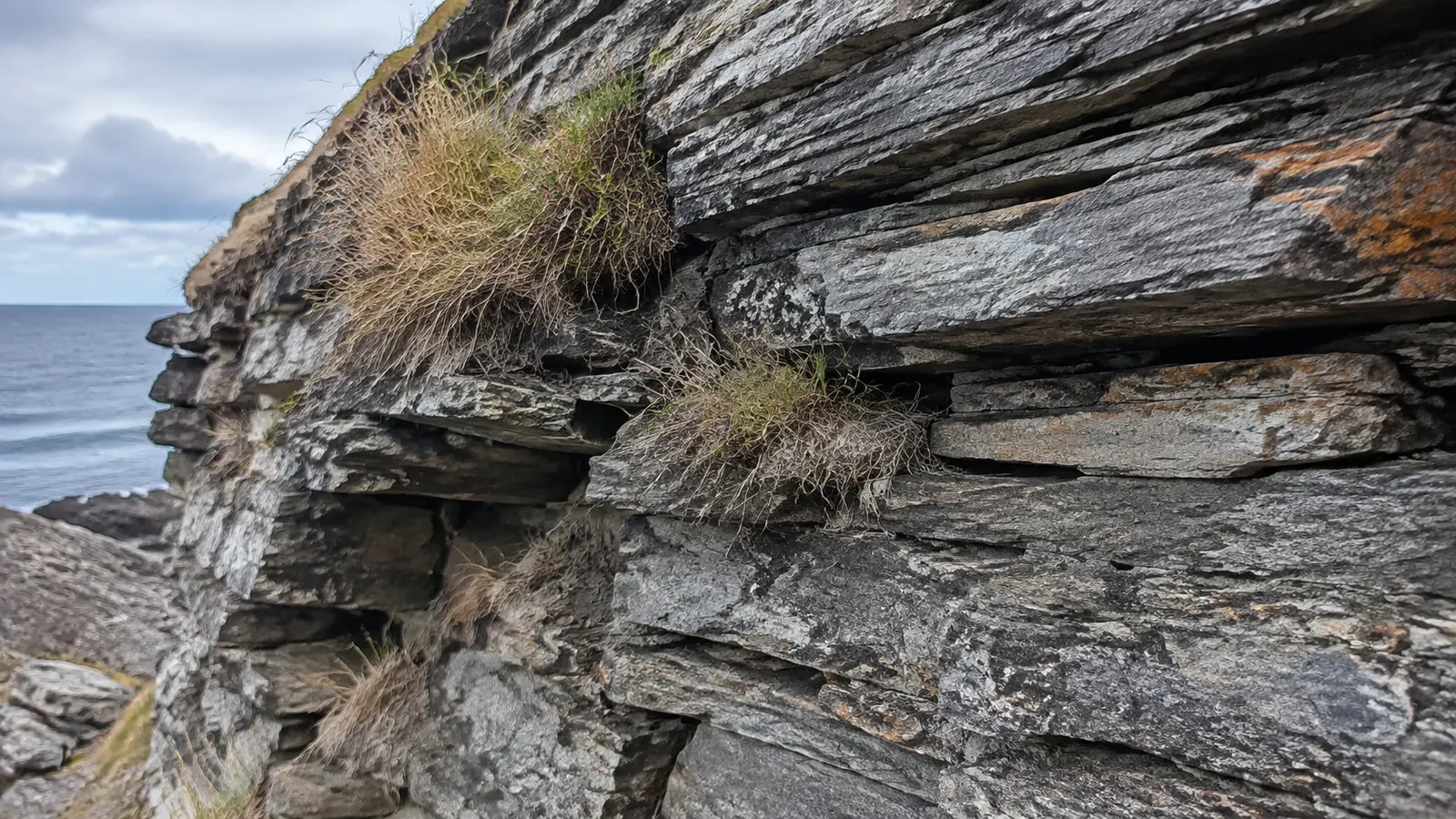 Close view of layered coastal rock with tufts of grass.