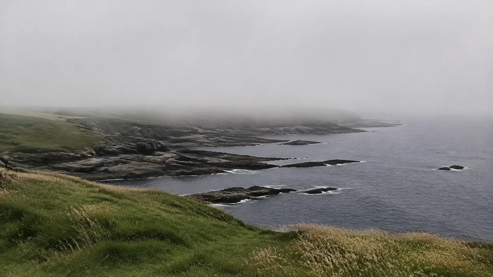 Fog drifts over a low rocky coastline and calm gray water.