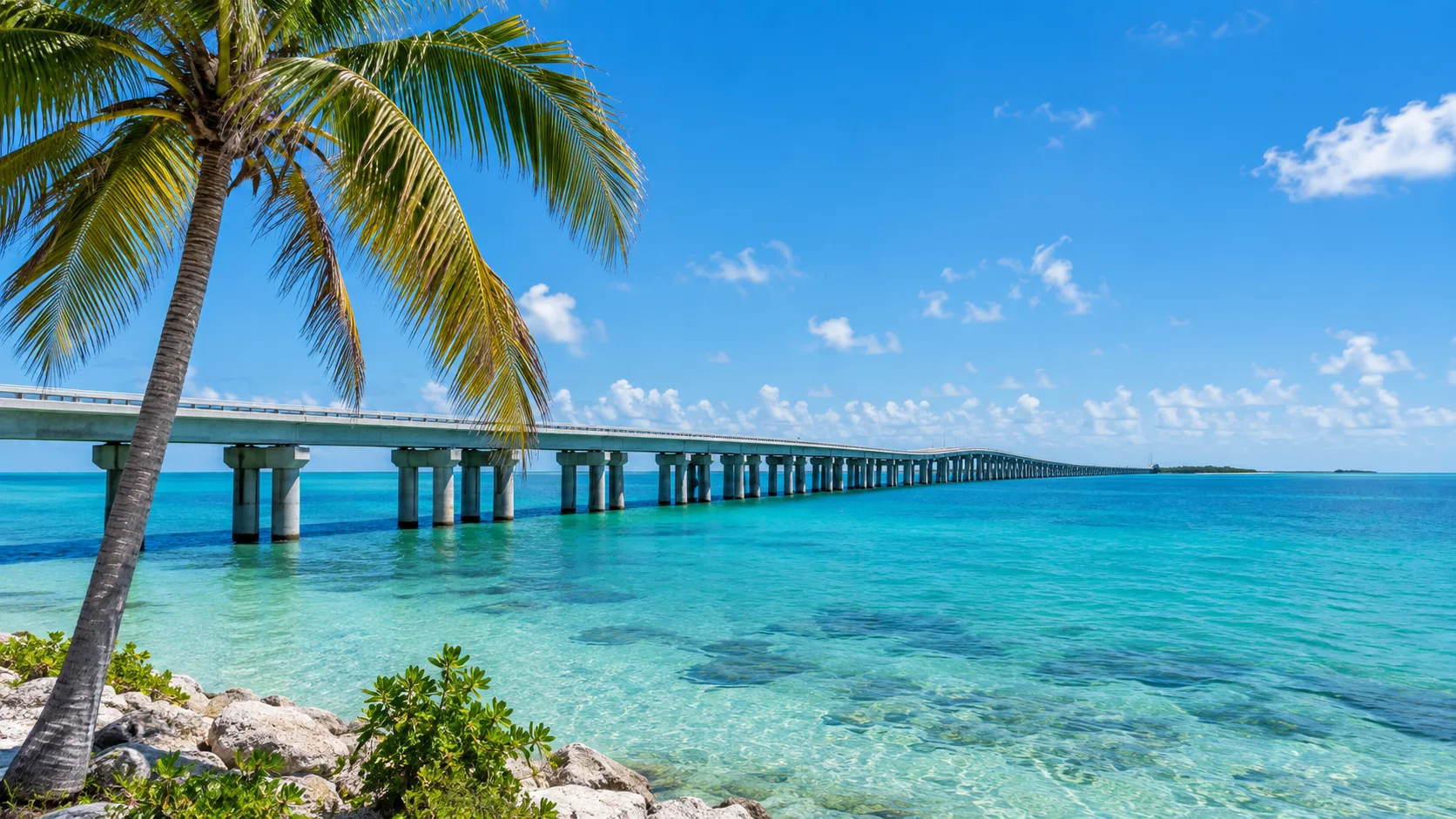 Turquoise water and palms frame an Overseas Highway bridge in the Florida Keys.