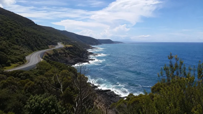 Coastal road winds along steep wooded hills above blue ocean.