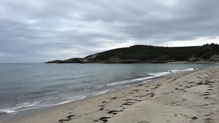 Gentle waves wash onto a sandy beach below wooded headlands.