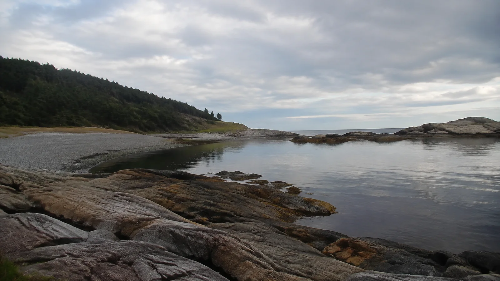Still tidal pool lies between low rocks beside a forested shore.