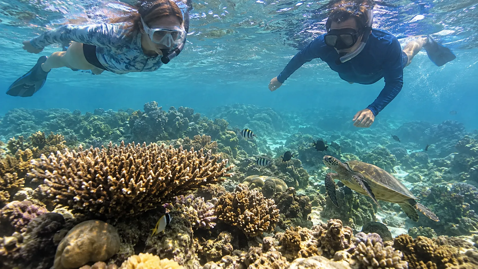 Snorkelers floating above a healthy coral reef without touching marine life