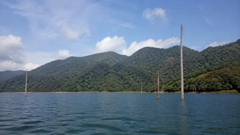 Bare tree trunks rise from a lake beneath forested hills.