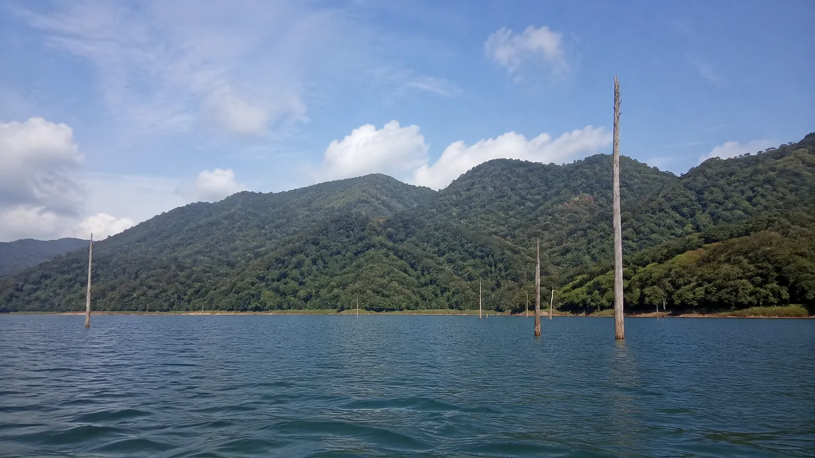 Bare tree trunks rise from a lake beneath forested hills.