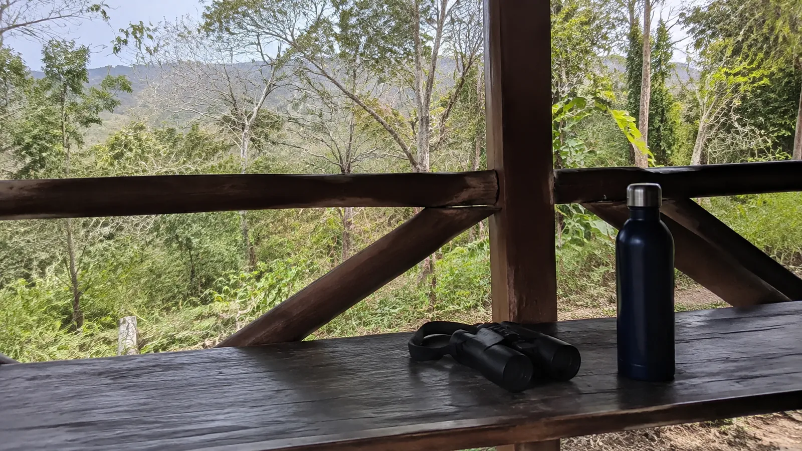 Binoculars and water bottle on a wooden balcony overlooking forest.
