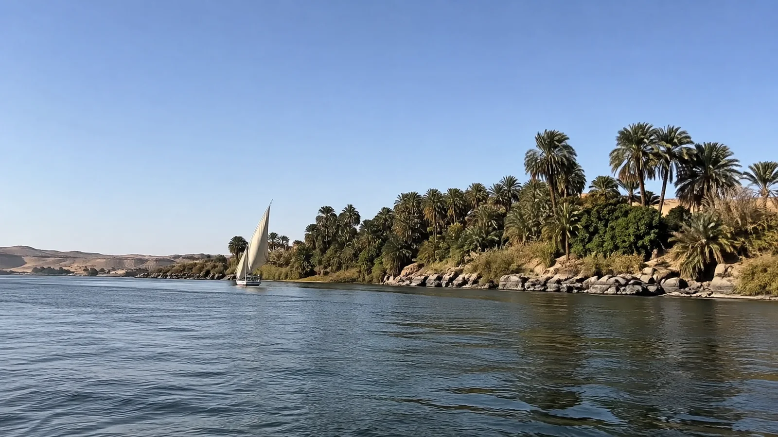 Sailboat passes a palm-lined riverbank beside desert hills.