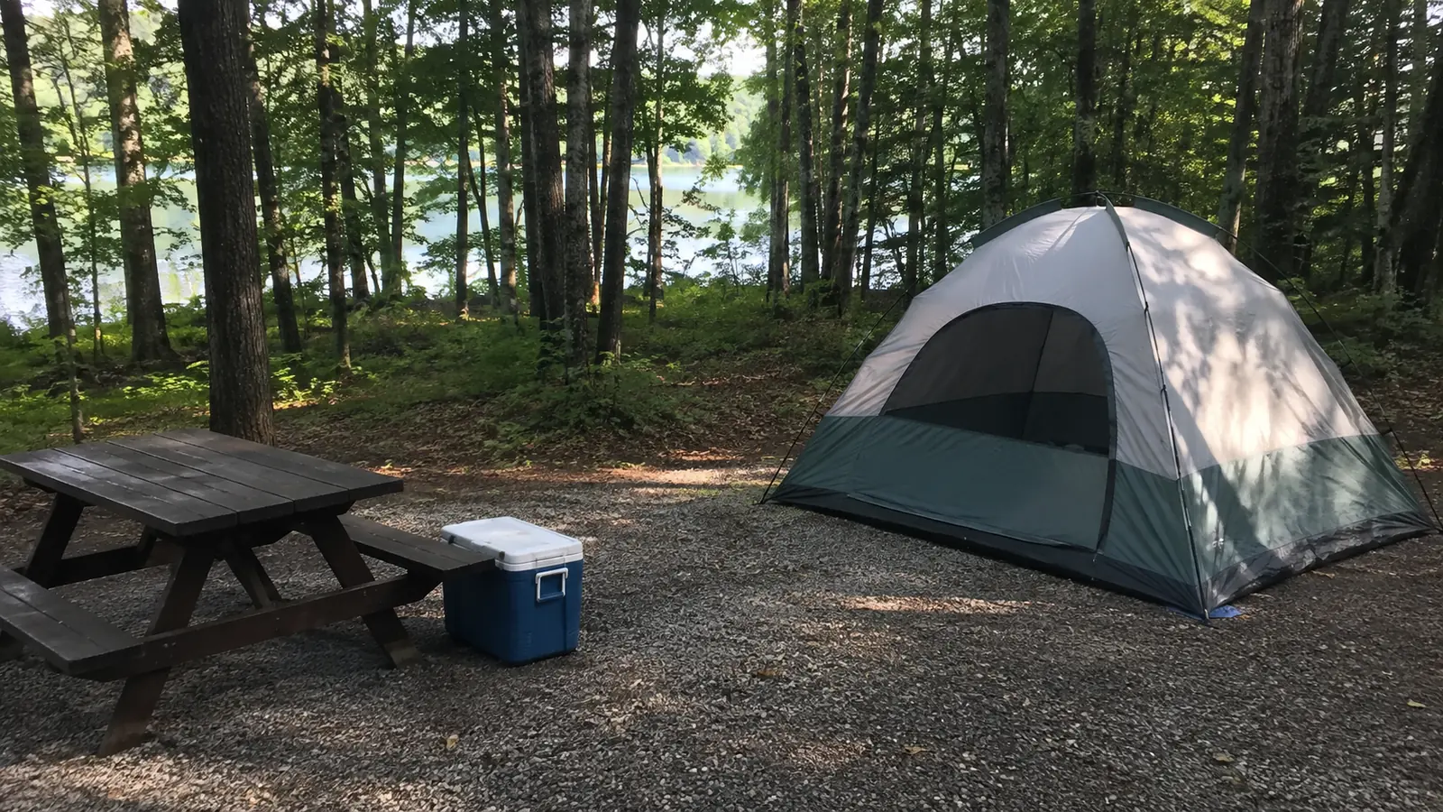 Tent, picnic table, and cooler at a shaded forest campsite.