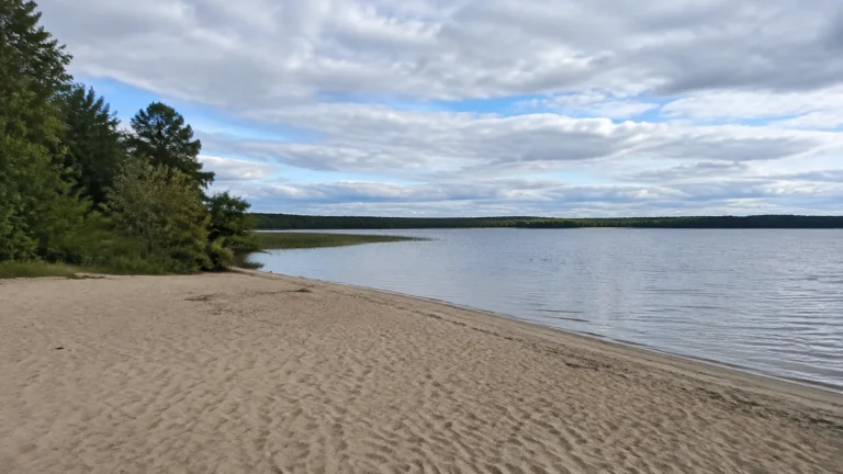 Quiet sandy beach curves along a lake bordered by trees.