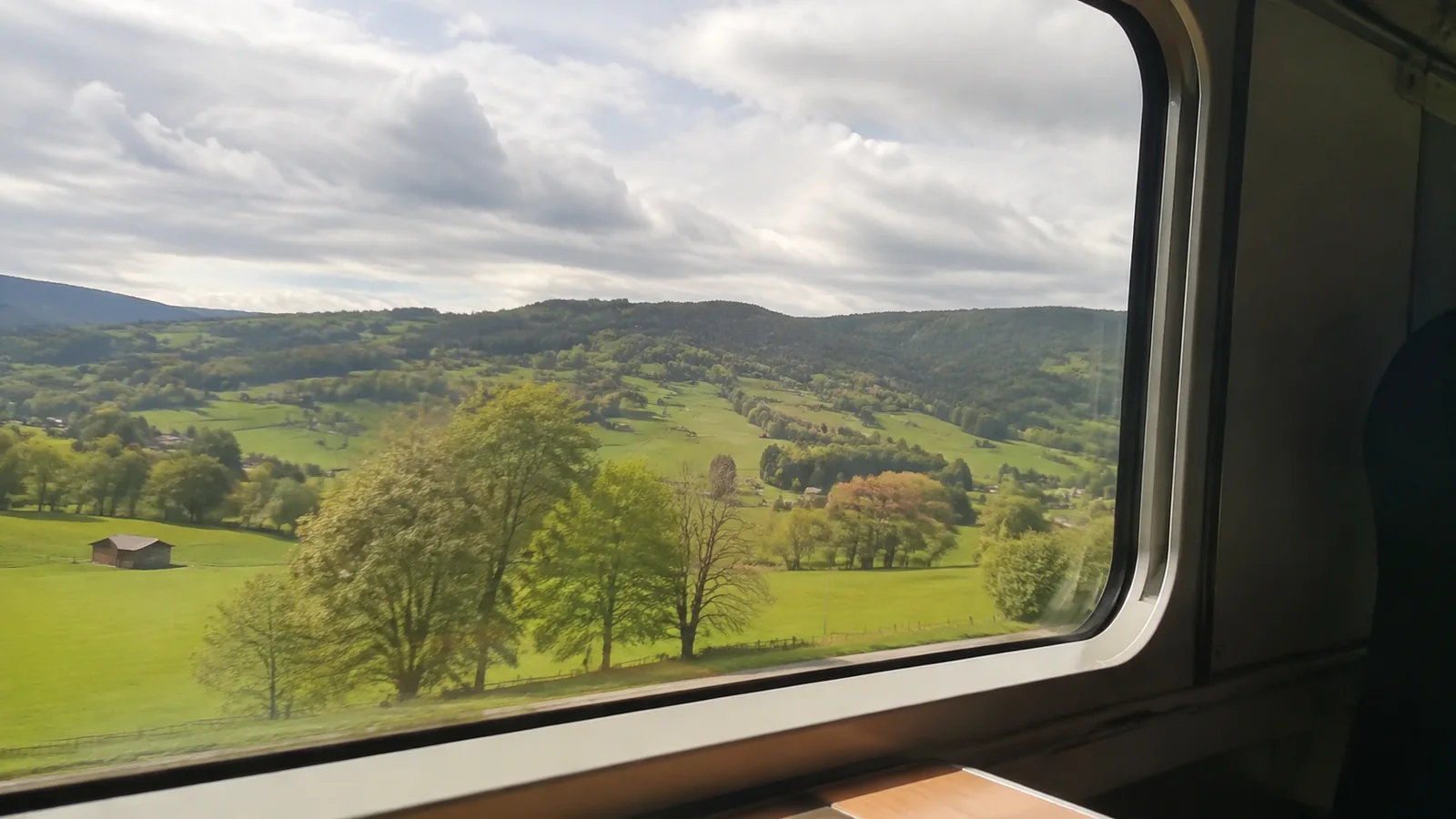 Green countryside and scattered trees seen through a train window.