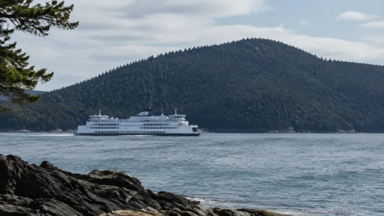 Large ferry passes a forested island across gray coastal water.