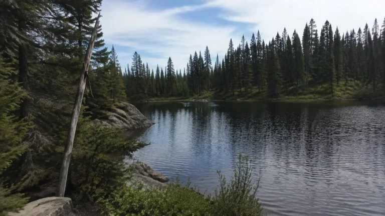 Still lake surrounded by dense evergreen forest and rocky banks.