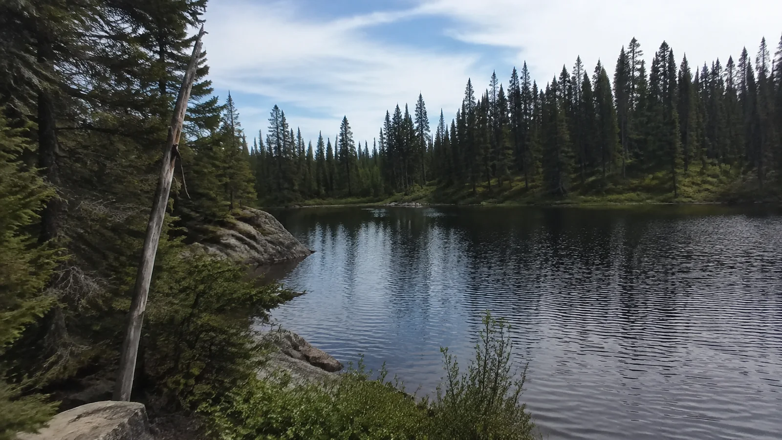 Still lake surrounded by dense evergreen forest and rocky banks.