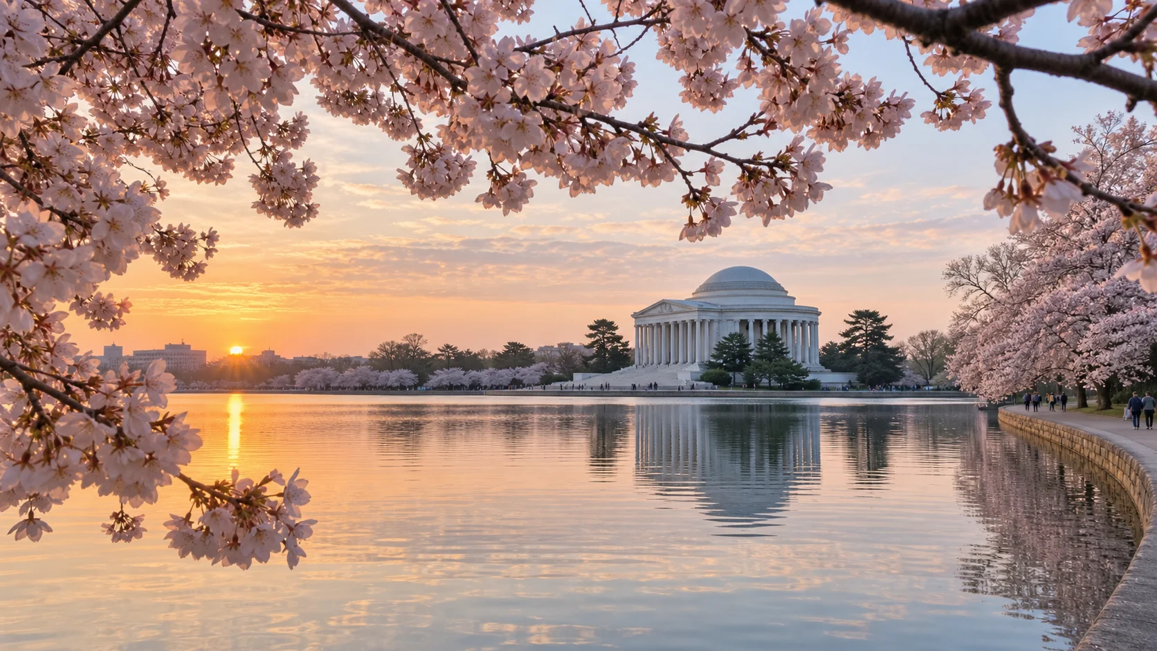 Cherry blossoms framing the Tidal Basin during Washington's National Cherry Blossom Festival
