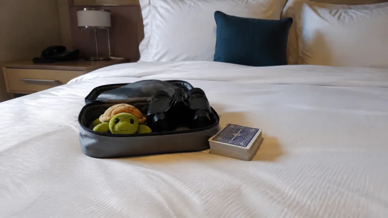 Small travel bag containing binoculars and a plush turtle beside a deck of cards.