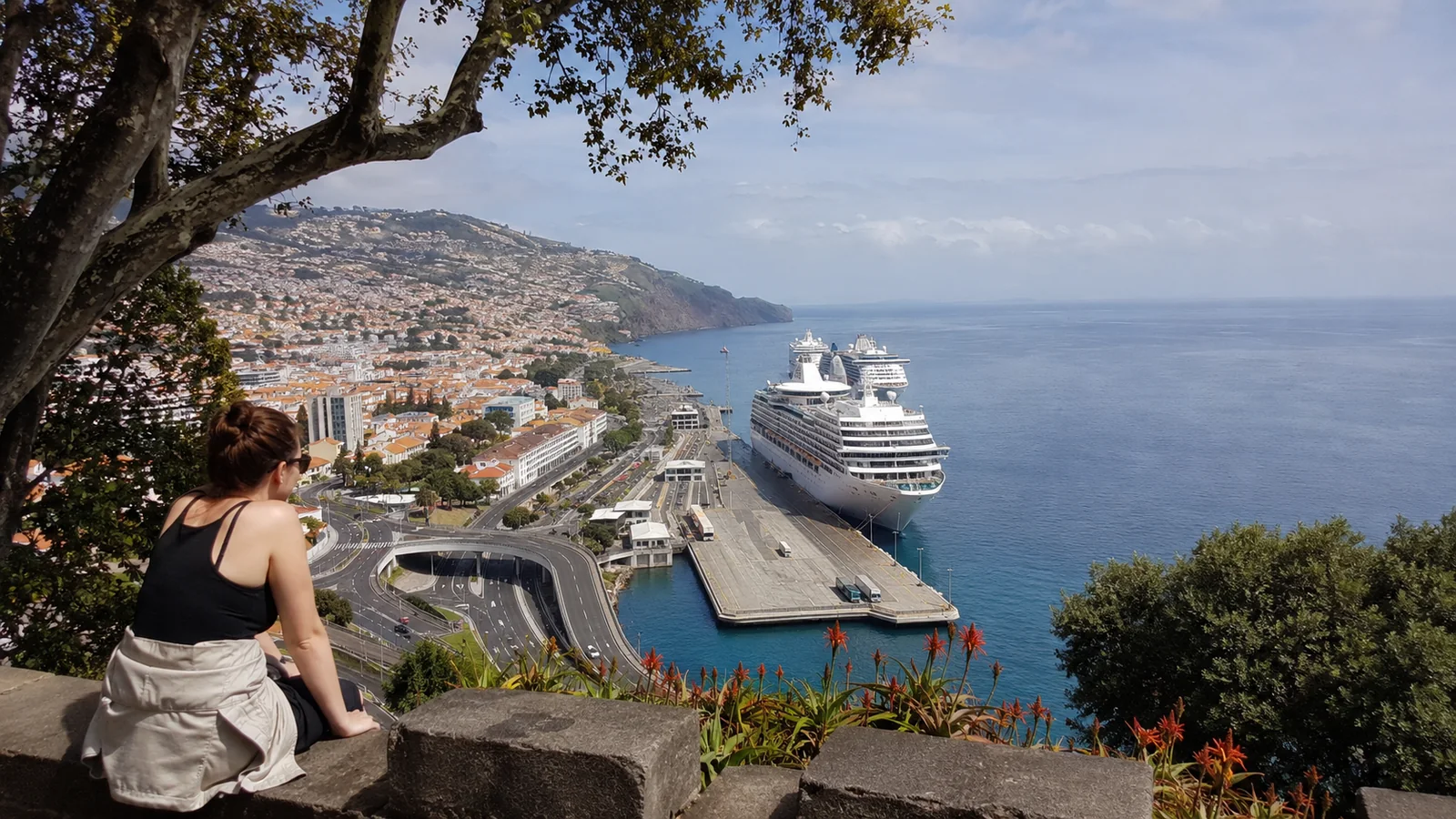 Woman overlooking a cruise ship docked below a coastal city