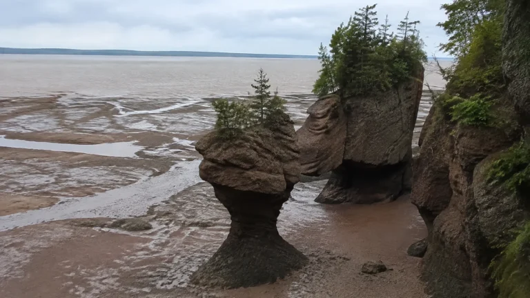 Tree-topped rock formations rise above exposed coastal mudflats at low tide.