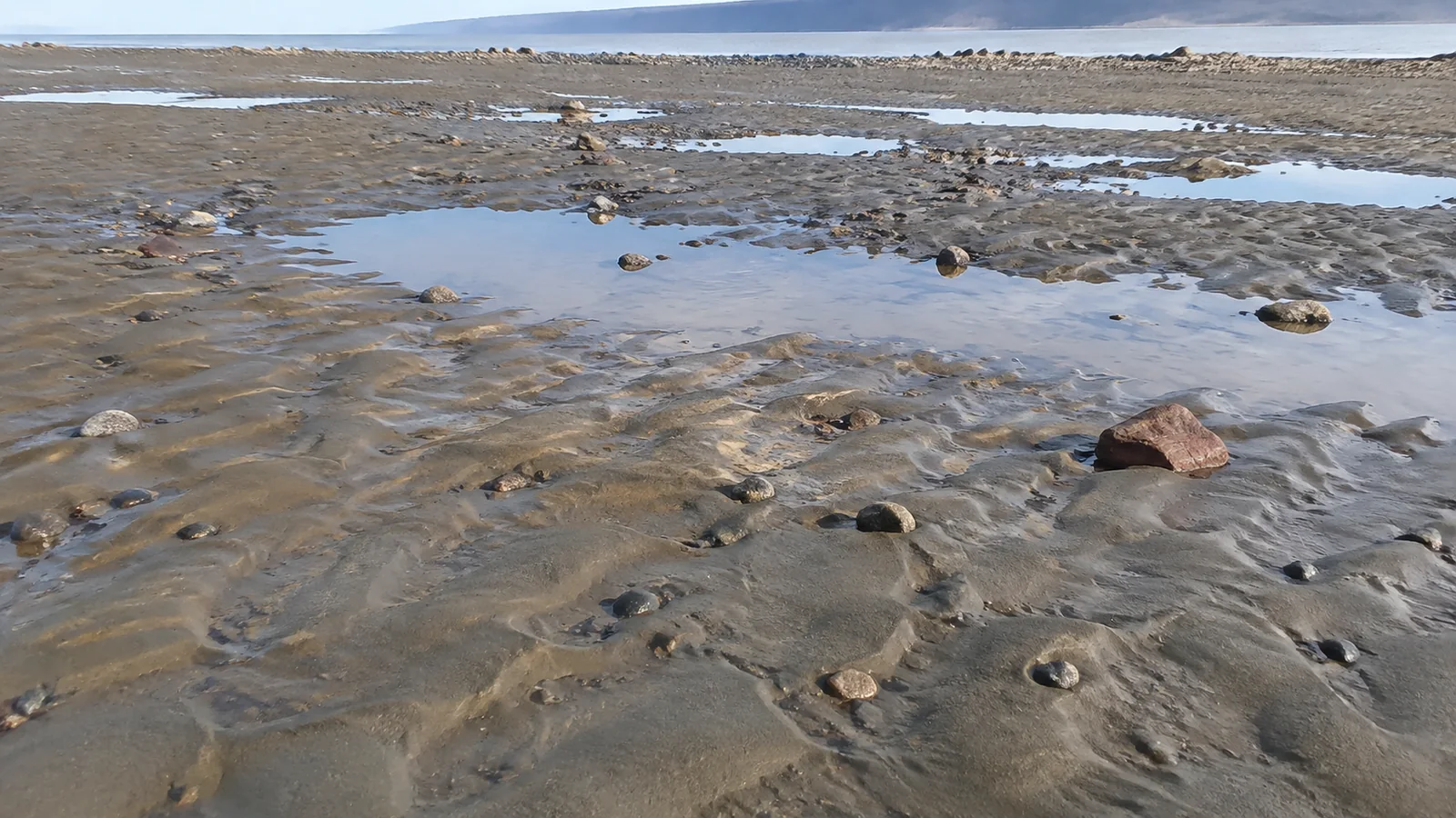 Shallow pools and scattered stones across rippled tidal mudflats.