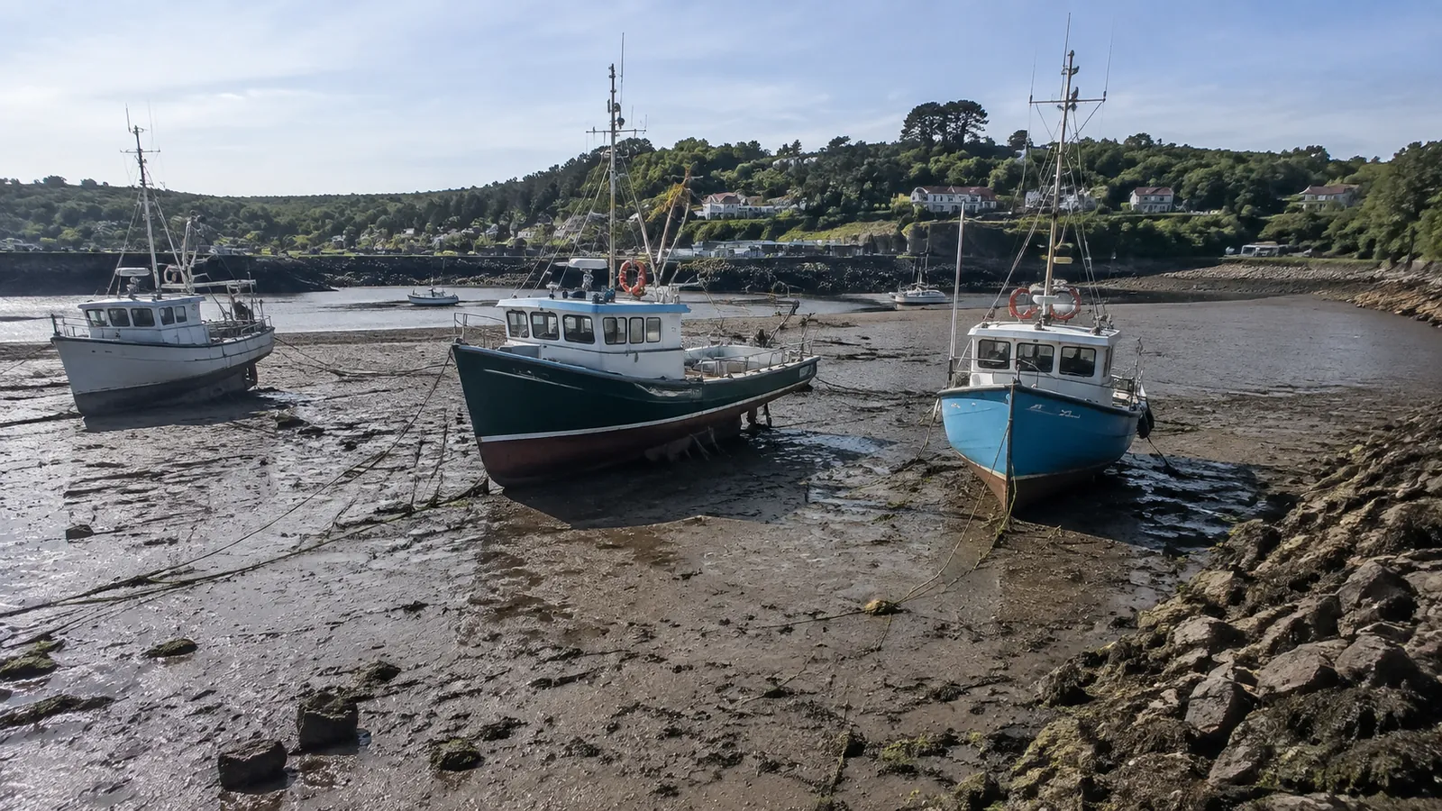 Fishing boats resting on exposed harbor mud beneath a wooded shoreline.