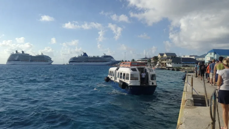 Tender boat approaching a pier with cruise ships anchored offshore.