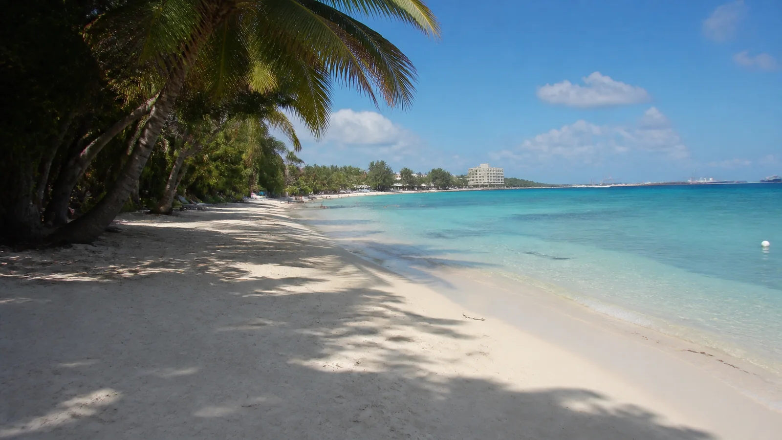 Quiet white-sand beach shaded by palms beside turquoise water.