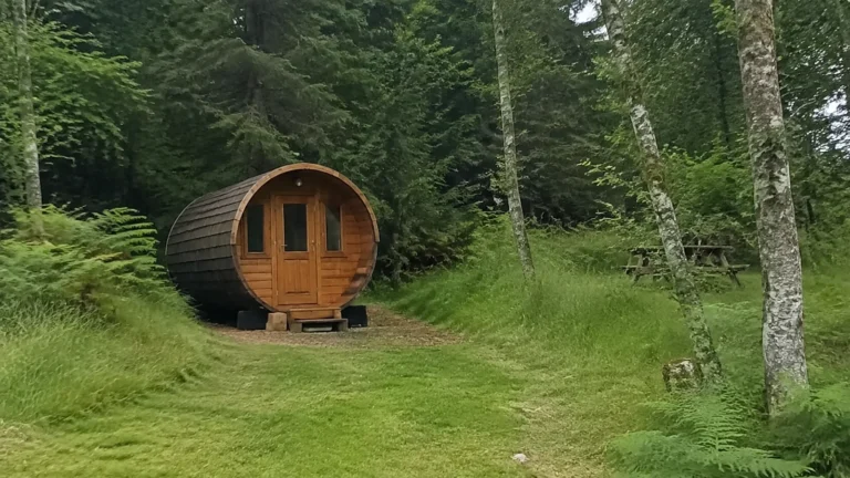Small barrel-shaped wooden cabin in a grassy clearing surrounded by forest.