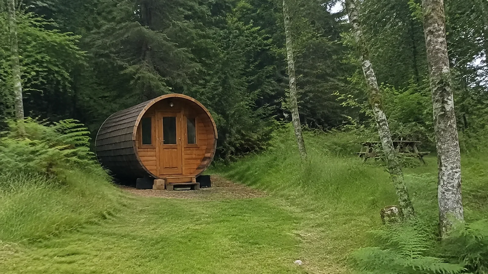 Small barrel-shaped wooden cabin in a grassy clearing surrounded by forest.