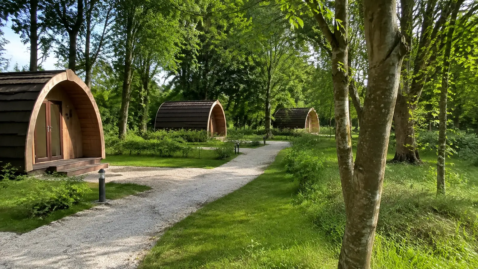 Small arched camping cabins spaced along a winding woodland path.
