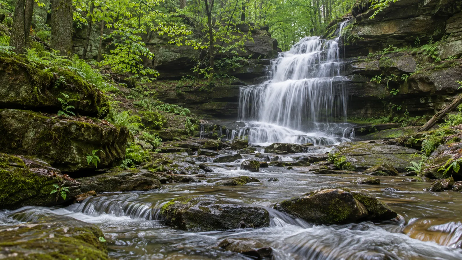 Stephens Falls cascades over mossy rock ledges in a green woodland ravine.