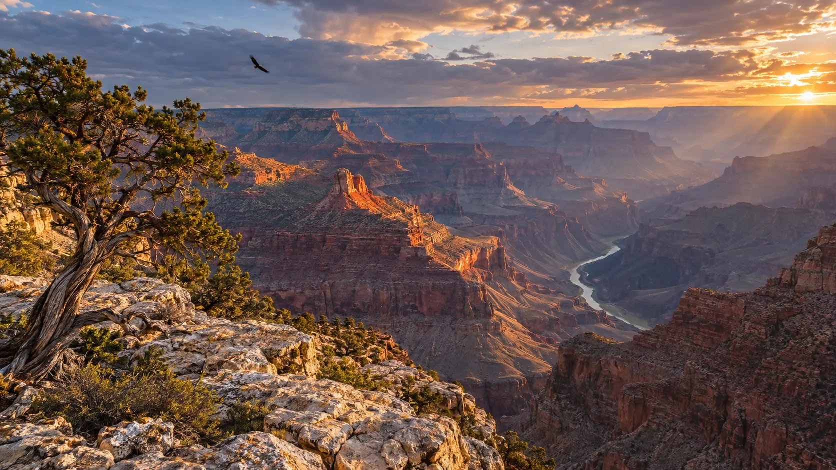 The Colorado River winds through sunlit layers of Grand Canyon National Park.