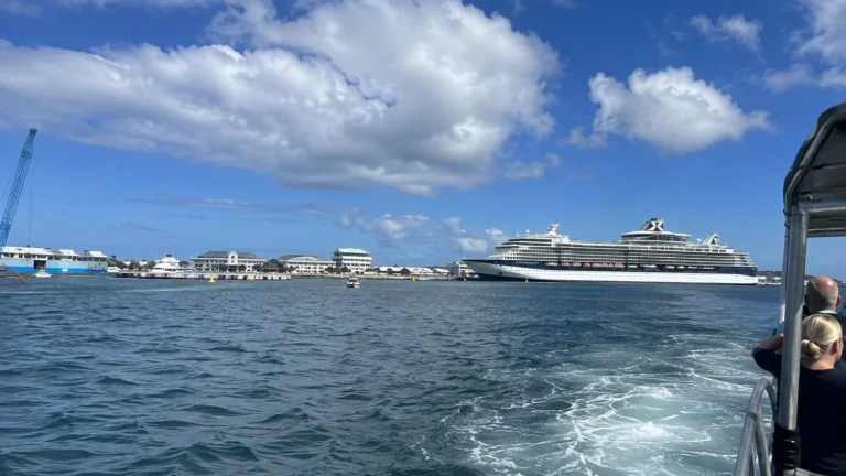 Cruise ship and tender boats across a blue harbor