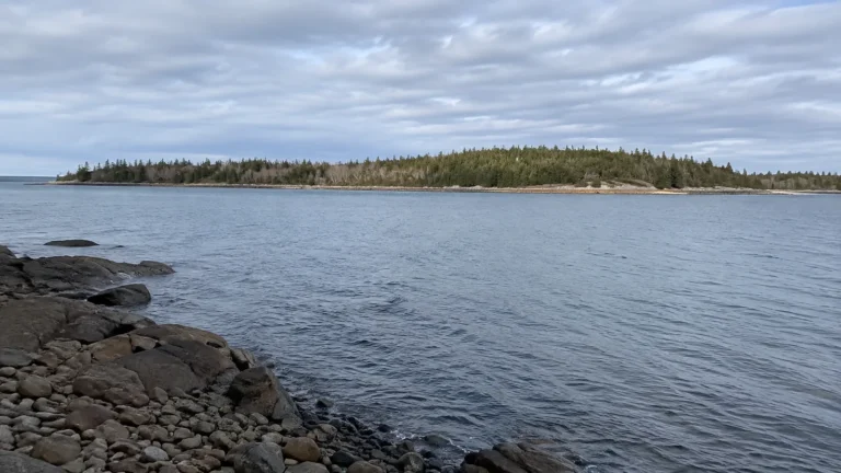 Calm blue water beside a rocky shore facing a wooded island.