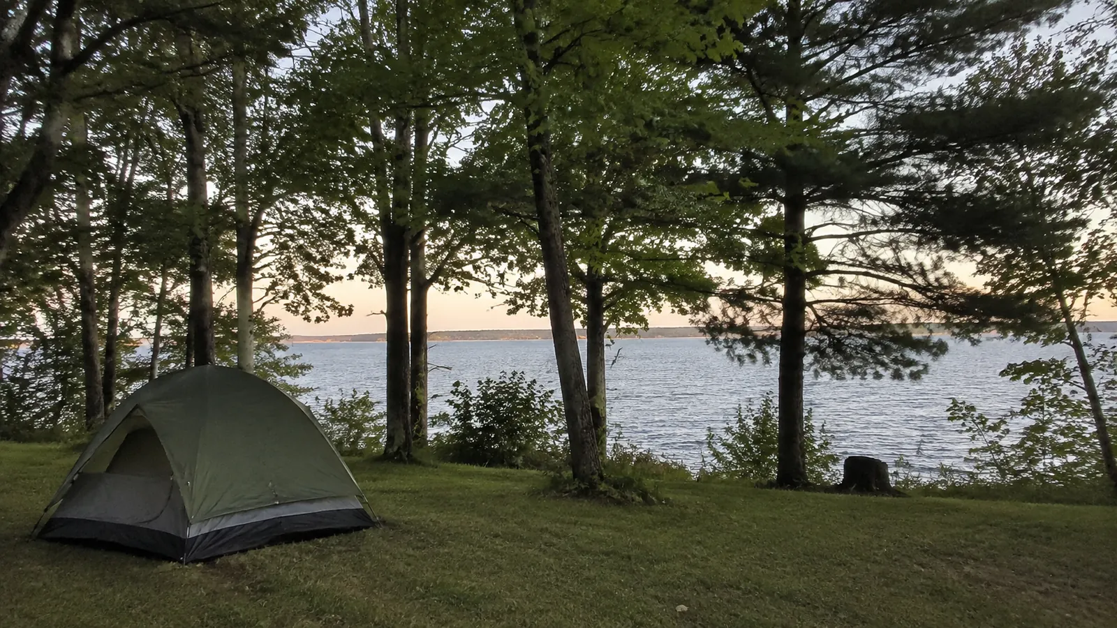 Tents pitched beneath trees at a shaded waterfront campsite.