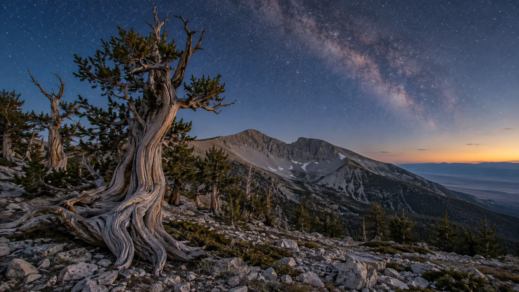 Ancient bristlecone pine beneath Wheeler Peak and the Milky Way in Great Basin National Park, Nevada