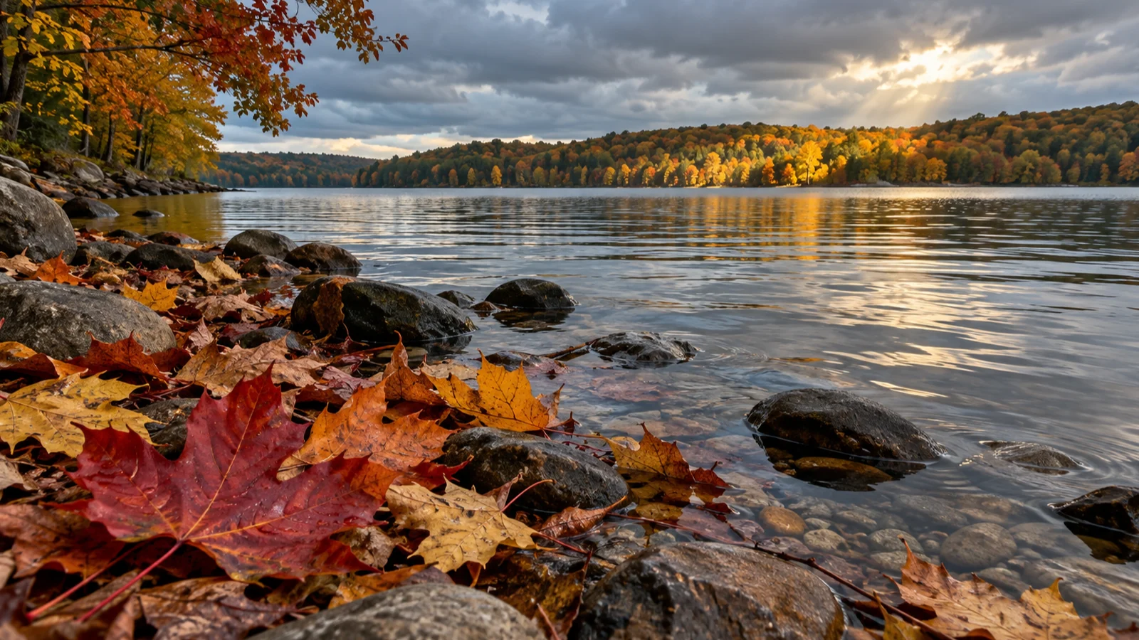 Colorful maple leaves and smooth stones edge Green Lake on a moody autumn day.