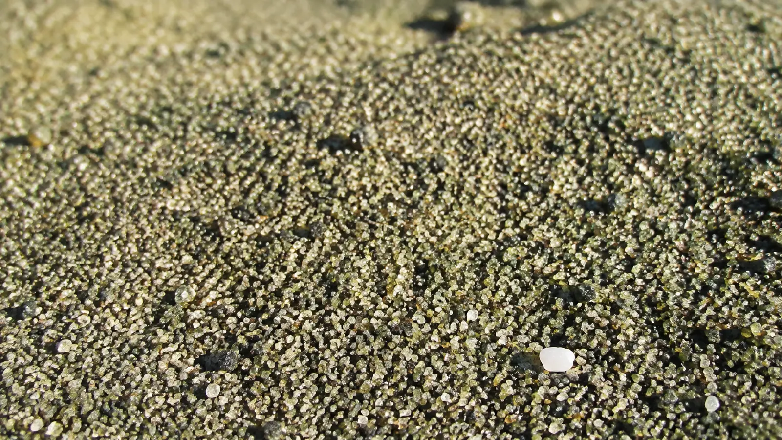 Close view of green and dark sand grains with scattered pale fragments.
