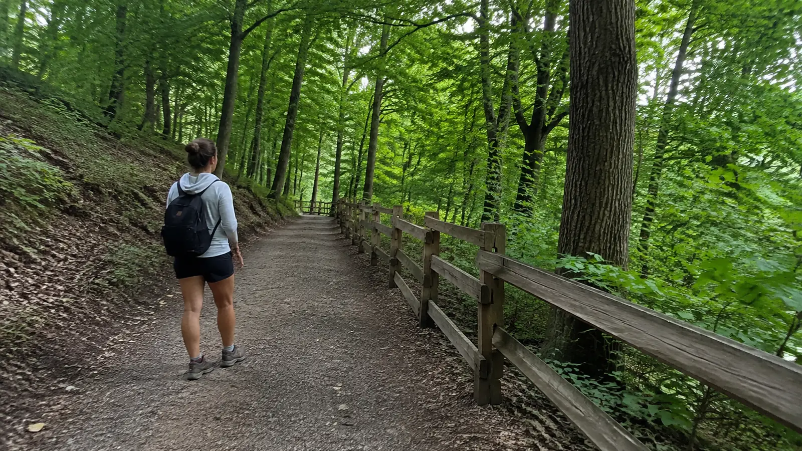Hiker follows a wooded trail beside a wooden railing.
