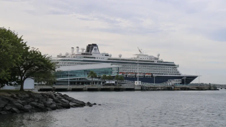 Cruise ship docked beside a waterfront terminal under an overcast sky.