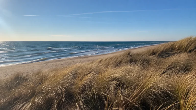 Golden dune grass above a sandy beach and blue lake.