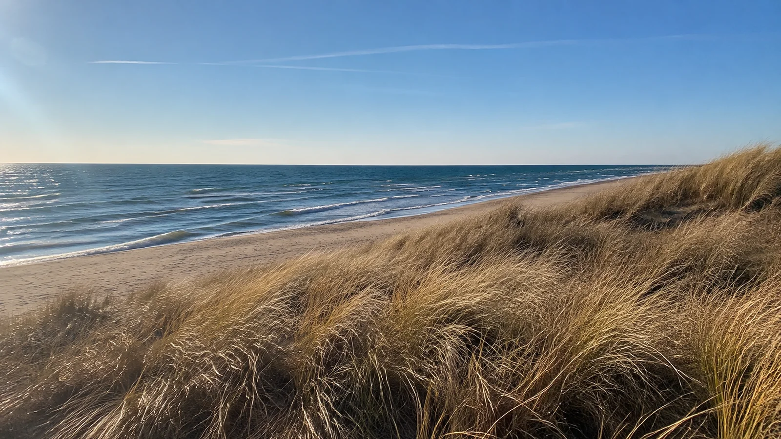Golden dune grass above a sandy beach and blue lake.