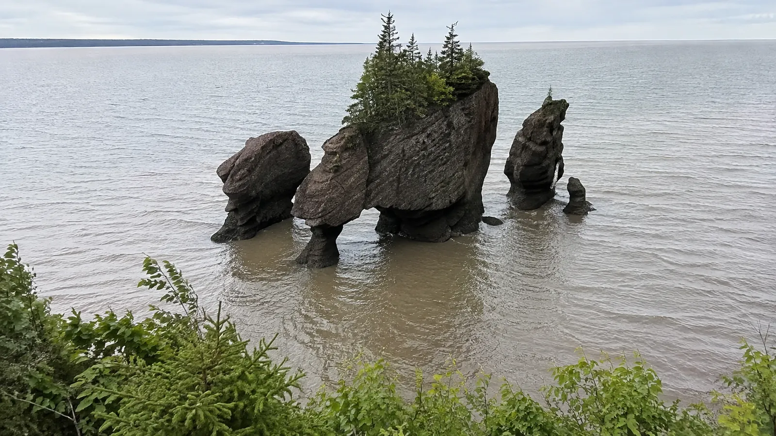 Tree-topped rock pillars surrounded by tidal water.